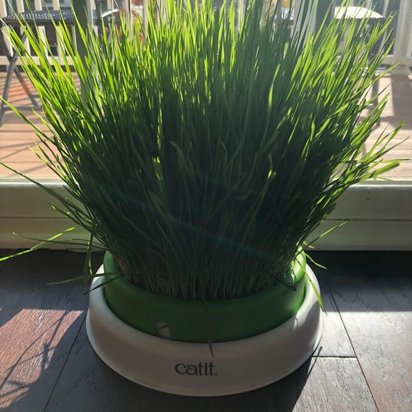 Meet your Posher, Rachel - Picture 1 of 1